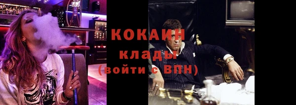 стаф Корсаков