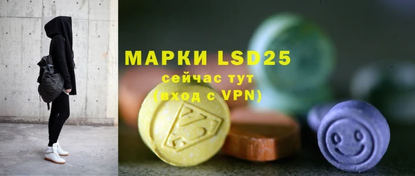 прущие грибы Краснотурьинск