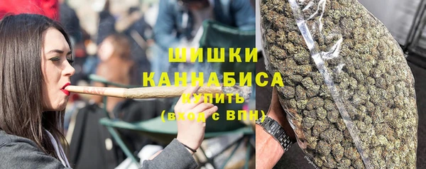 МДПВ Краснослободск