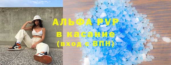 стаф Корсаков