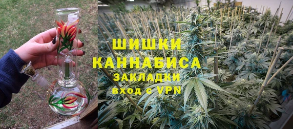 бошки Протвино