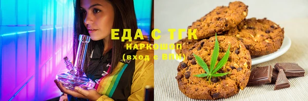 стаф Корсаков