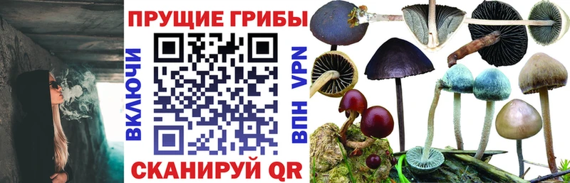 Псилоцибиновые грибы мухоморы  Облучье 